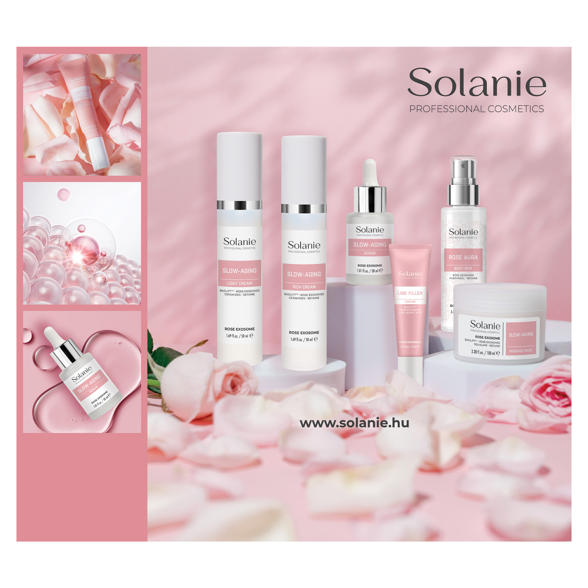 Solanie asztali displayhez Rózsa Exoszóma grafika