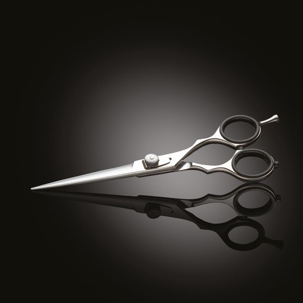 Iwasaki Executive Silver Fuji fodrászolló 5