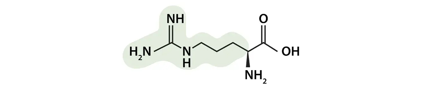 Arginin