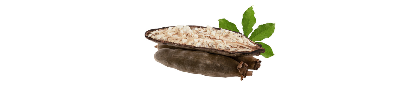 Baobab gyümölcskivonat