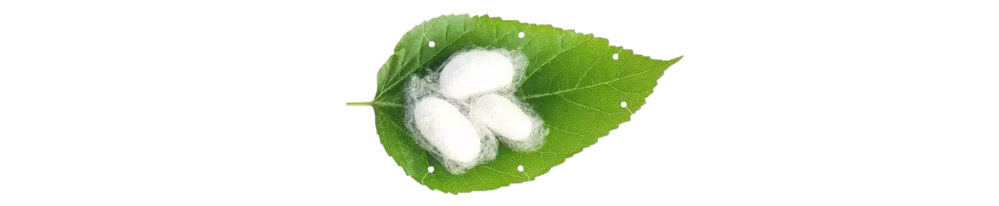 Selyemprotein hidrolizátum
